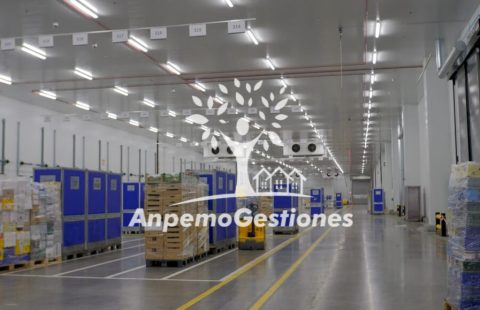 Instalaciones fruta, 5 cámaras frigoríficas, muelles carga