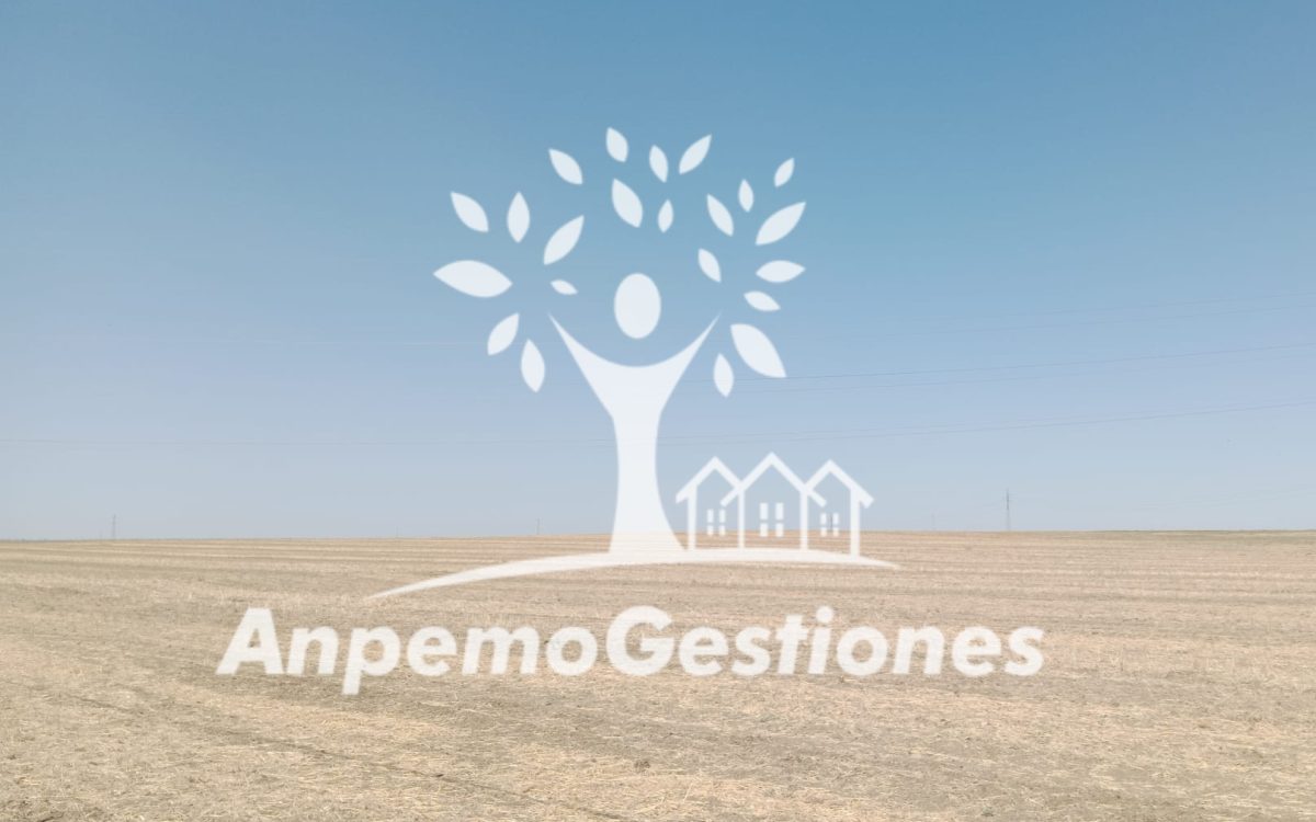 Finca 400 hectáreas labor regadío, SEVILLA