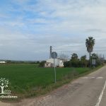 1,5 has urbanizables, vivienda, EL PANDERO