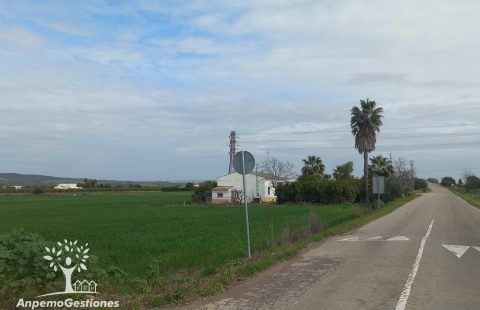 1,5 has urbanizables, vivienda, EL PANDERO