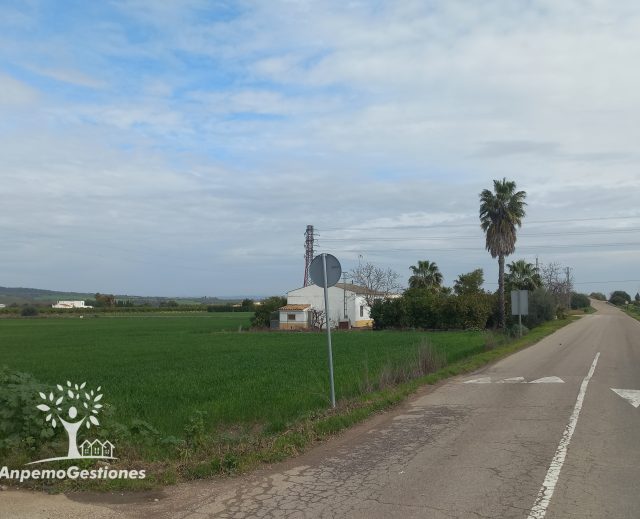 1,5 has urbanizables, vivienda, EL PANDERO