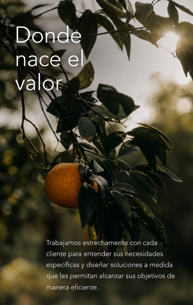 Donde nace el valor