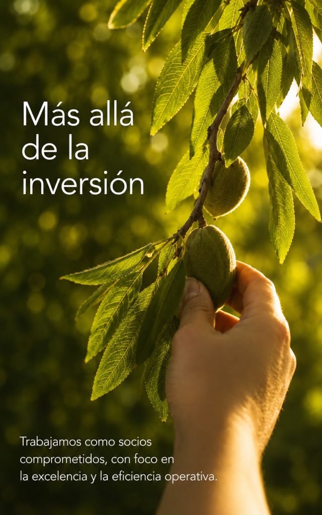 Más allá de la inversión